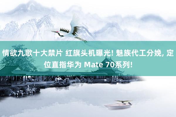 情欲九歌十大禁片 红旗头机曝光! 魅族代工分娩， 定位直指华为 Mate 70系列!