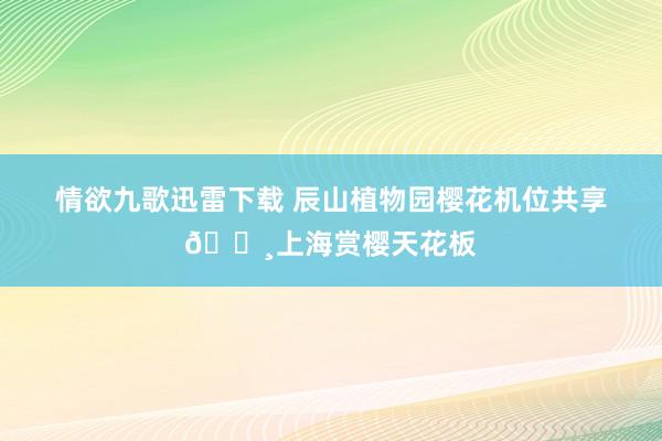 情欲九歌迅雷下载 辰山植物园樱花机位共享🌸上海赏樱天花板