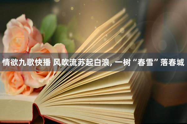 情欲九歌快播 风吹流苏起白浪， 一树“春雪”落春城